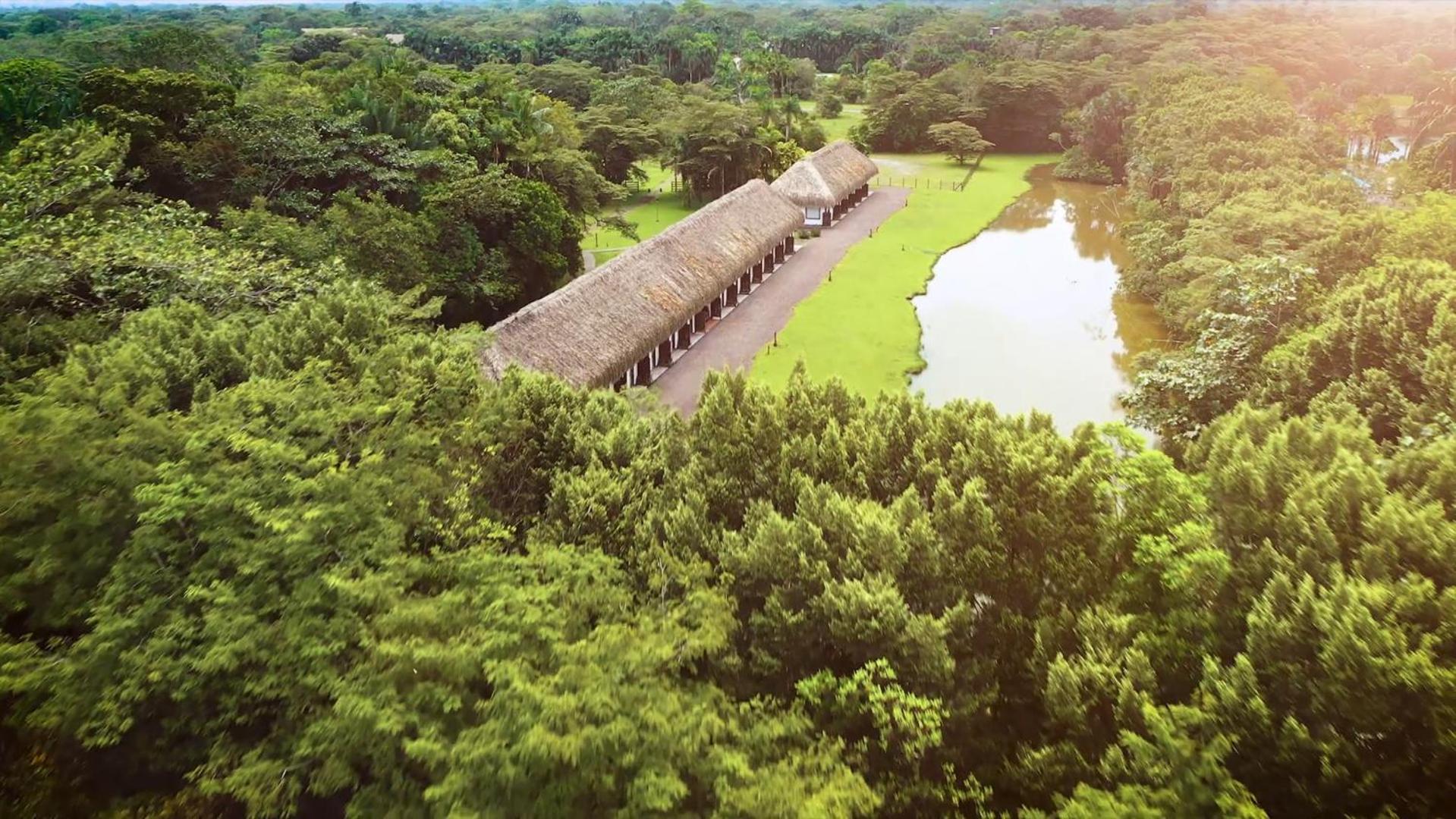 Hotel Reserva De Piedemonte La Palmera Ngoại thất bức ảnh