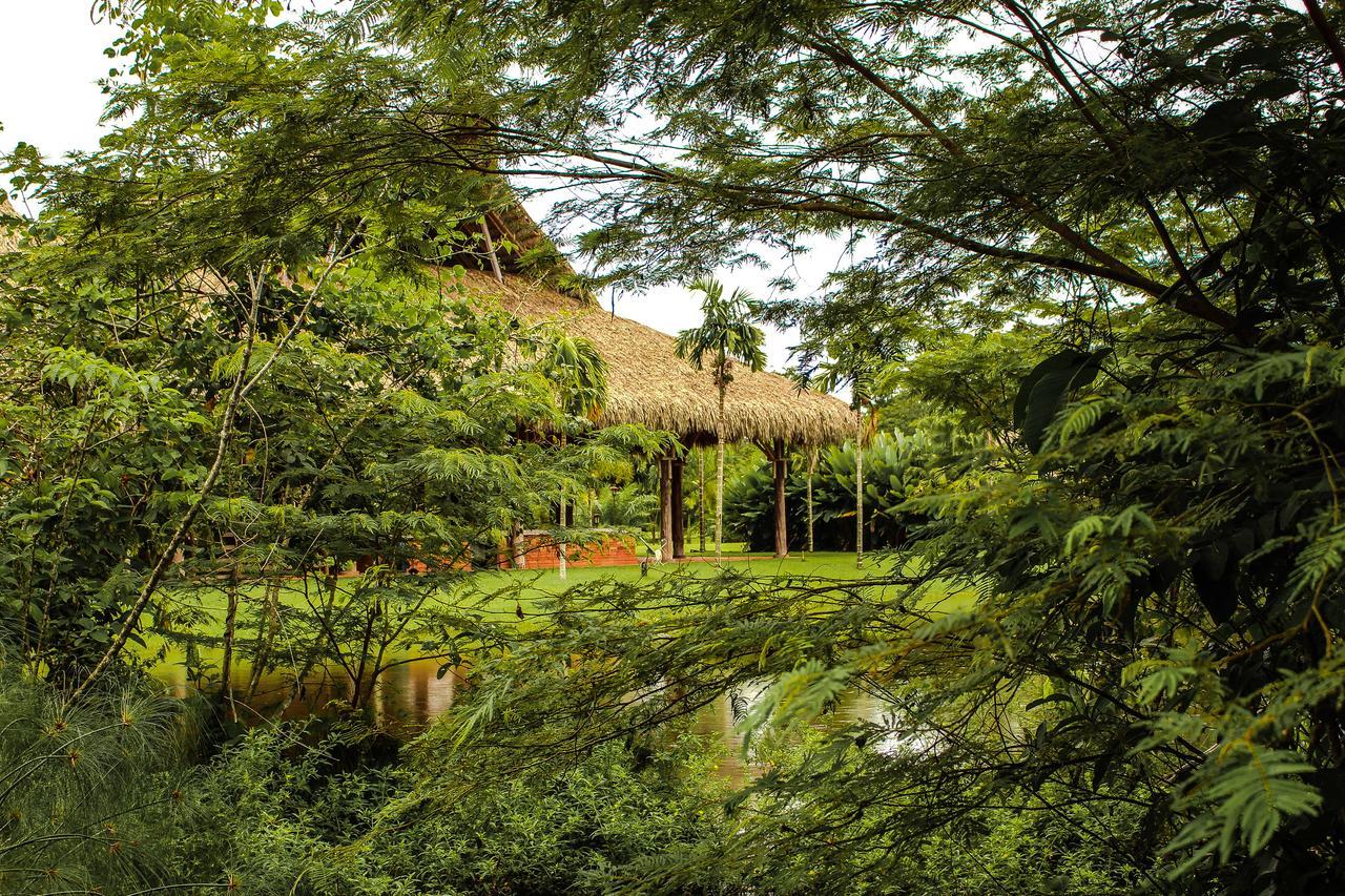 Hotel Reserva De Piedemonte La Palmera Ngoại thất bức ảnh